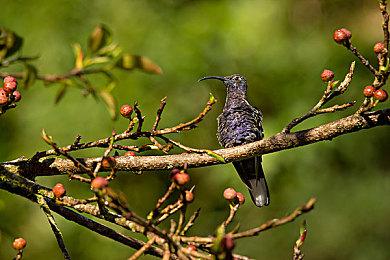 奥日团队新作《恶意不息》3月1日召开演示会